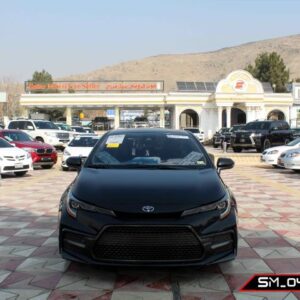 Toyota Corolla ( XLE ) 2020