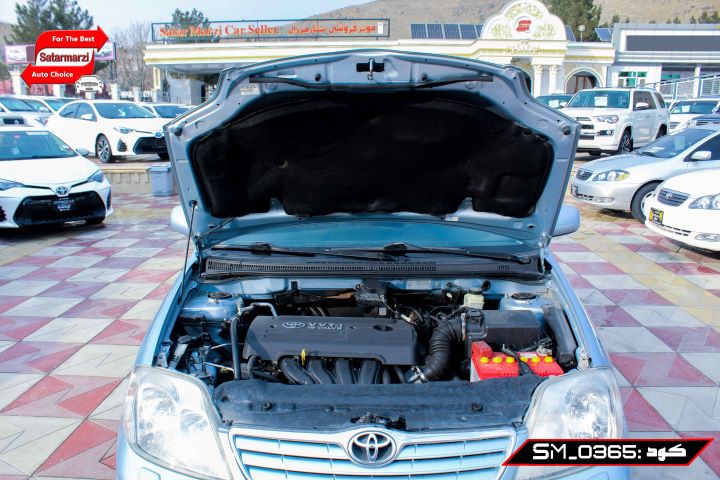 10 Toyota Fielder ( Germany )