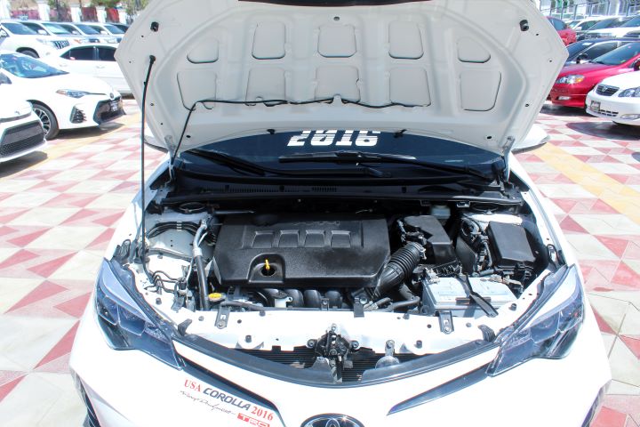13 Toyota Corolla ( SE )