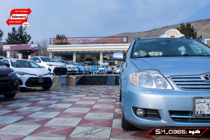 IMG_6987 Toyota Fielder ( Germany )
